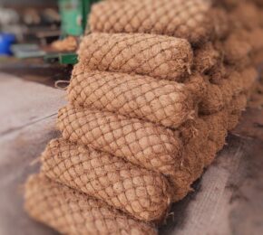 Mini-fully-biodegrable-coir-rolls-for-peatland-restoration-1